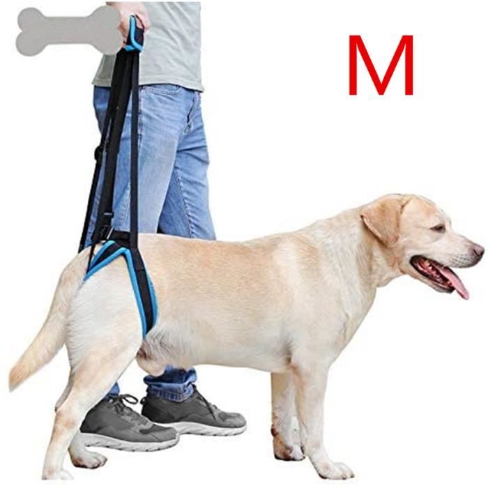 Harnais de levage pour chien - Sangle portable - Aide les jambes faibles - Maintien équilibré - Harnais de levage arrière -Taille M