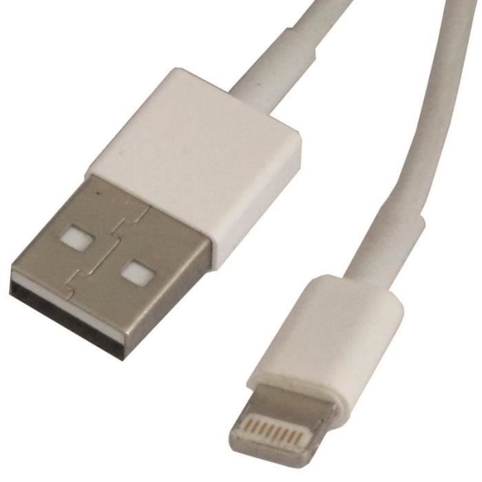 Câble USB Pour IPhone – Longueur 1m02 – Blanc – Occasion