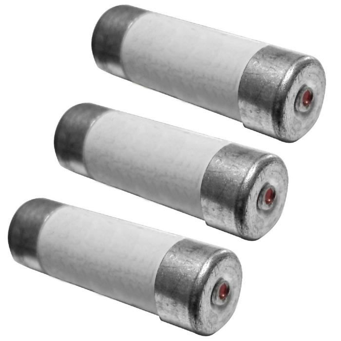 ZENITECH 3 fusibles céramique 8,5x31,5mm 20A avec voyant