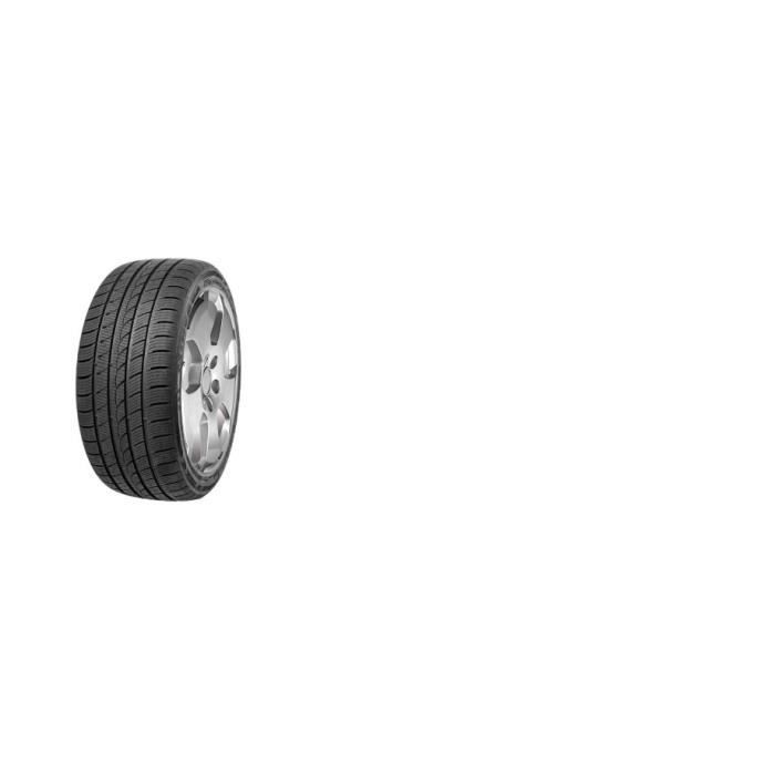 Pneu Hiver MINERVA S220 3PMSF M+S 225/65 17 102H
