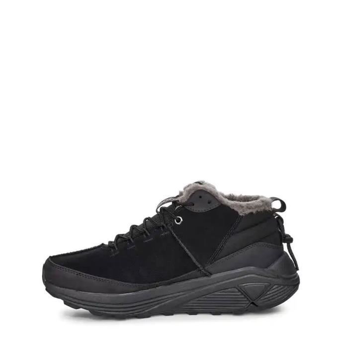 Basket online ugg homme
