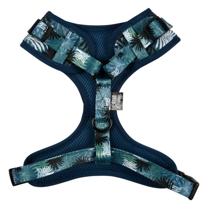 Harnais pour Chien Réglable Eden 54cm Bleu Harnais pour Chien Réglable Eden 54cm Bleu
