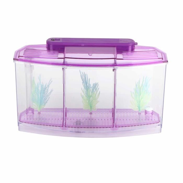 Comparer les prix de Aquarium d'élevage VVIKIZY - Mini aquarium LED acrylique trois divisions - Violet