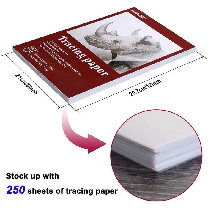 Lot de 250 feuilles de papier transparent imprimable, format a4