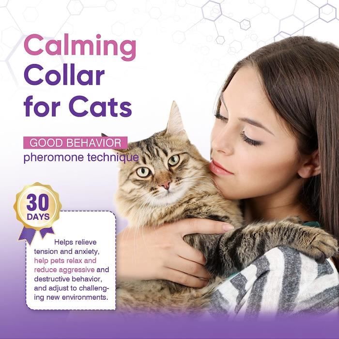 Collier pour Chat apaisant aux phéromones, Aide Les Chats à se Sentir  calmes et en sécurité, Tout en réduisant Le Stress, l’anxiété et Les