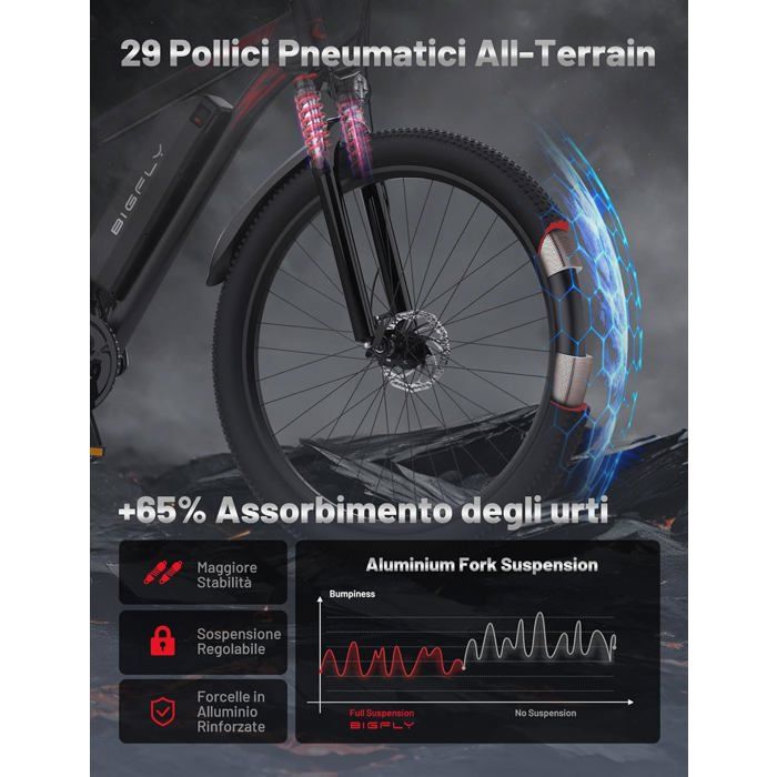 Vélo électrique DUOTTS C29 VTT 29" - Batterie 48V 15Ah Amovible, 250W, 21 Vitesses, Double Disque