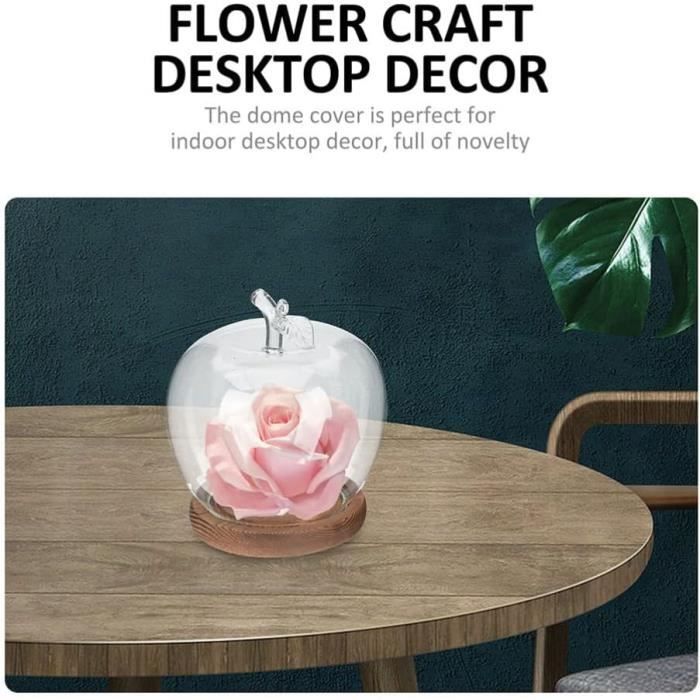Cloche En Verre Dôme 14x13 Cm Avec Base Bois Noir – Idéal Fleurs Éternelles & Présentation