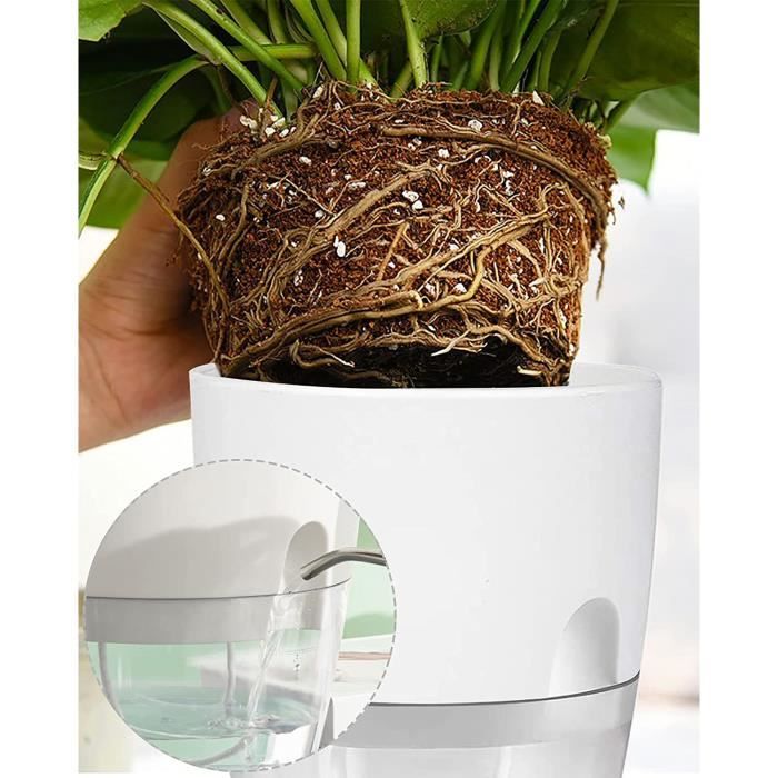 Potager Jardiniere Interieur-5 Pcs Pot à Herbes-pour Rebord de fenêtre-avec  système d'arrosage Automatique-pour la Cuisine-Pla[110] - Cdiscount Jardin