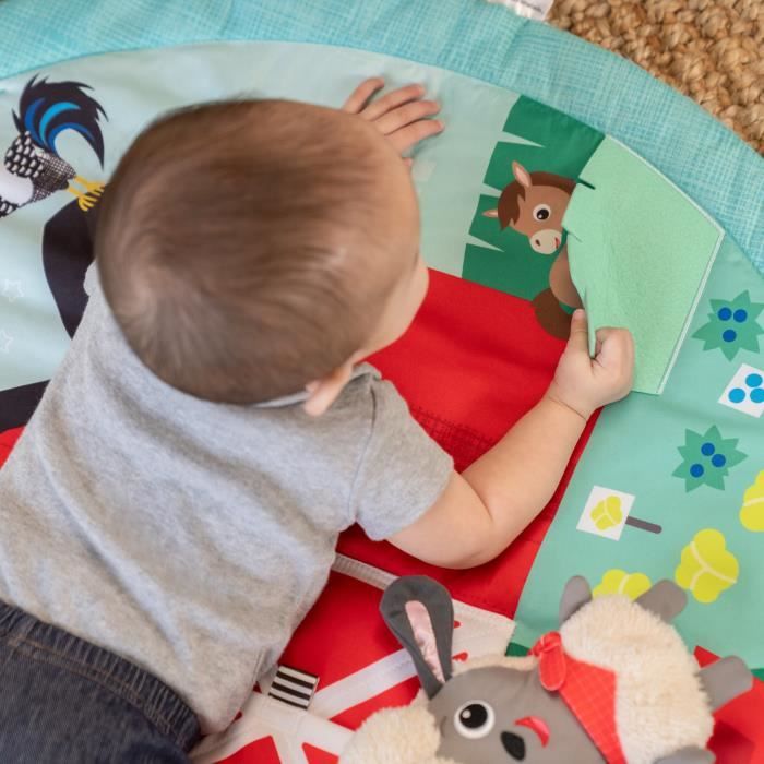 Baby Einstein – Tambourin Hochet Tiny Tambourine, Jouet Musical Sans BPA, Avec Jingles Et Boulier, Développement Moteur Dès 3 Mois