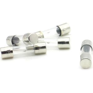 Lot de 5 porte-fusibles à montage sur panneau pour fusibles en verre 5 x 20 mm 10 A 250 V 