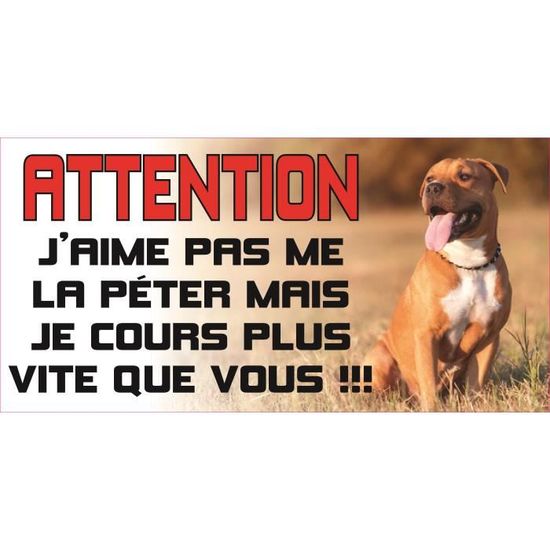 Plaque Humour "Attention Au Chien, Je Ne Suis Pas Vegan" - Aluminium 15x20 Cm, Personnalisable Prénom