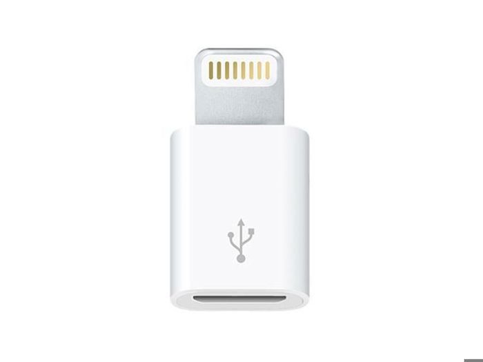 Adaptateur Micro USB vers Lightning Apple Iphone blanc