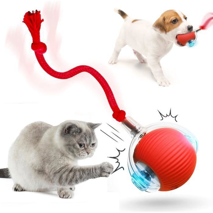 Générique Balle Interactive à Rouler pour Chien Balle à Rouler pour Chat Et Chien Activée par Le Mouvement (Rouge) YYV
