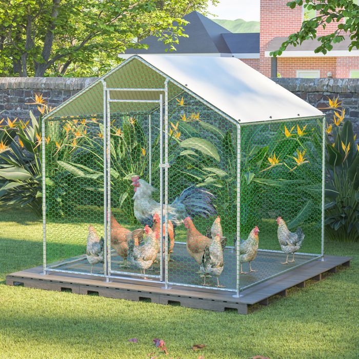 Maisentiel Poulailler extérieur 2 x 2 x 2 m en acier galvanisé avec toile PE et filet hexagonal