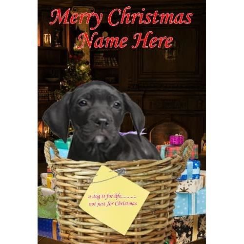 Carte De Voeux Vierge De Noël De Blanc Avec Des Branches D'arbre De