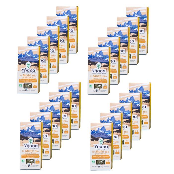 PIL - M-295 - Rault 12 R12 - Agrupacion de Trafico - boite