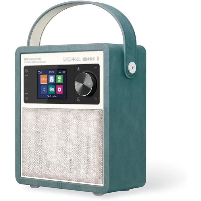 Dab+ Radio Stéréo Dab Enceinte Portable Sans Fil Bluetooth Dab+ Fm