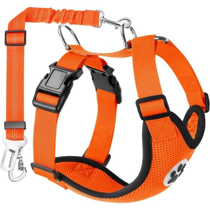 Jungle leash / L)Harnais réglable en Nylon pour chien, facile à