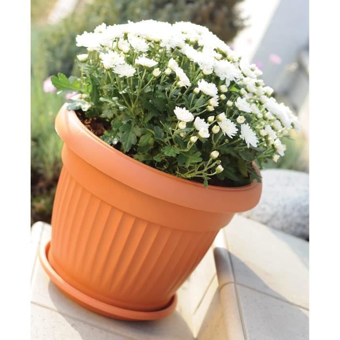 Pot pour plantes fleurs DCE30 TERRA rond Ø 30 cm pour intérieur extérieur  terre cuite 8 litres Ø 30 x 23,5 cm design classique fleur - Cdiscount  Jardin