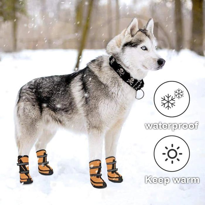 Bottes De Protection Cheval Kensington Grandes, Bordure Polaire, Bleu Et Violet