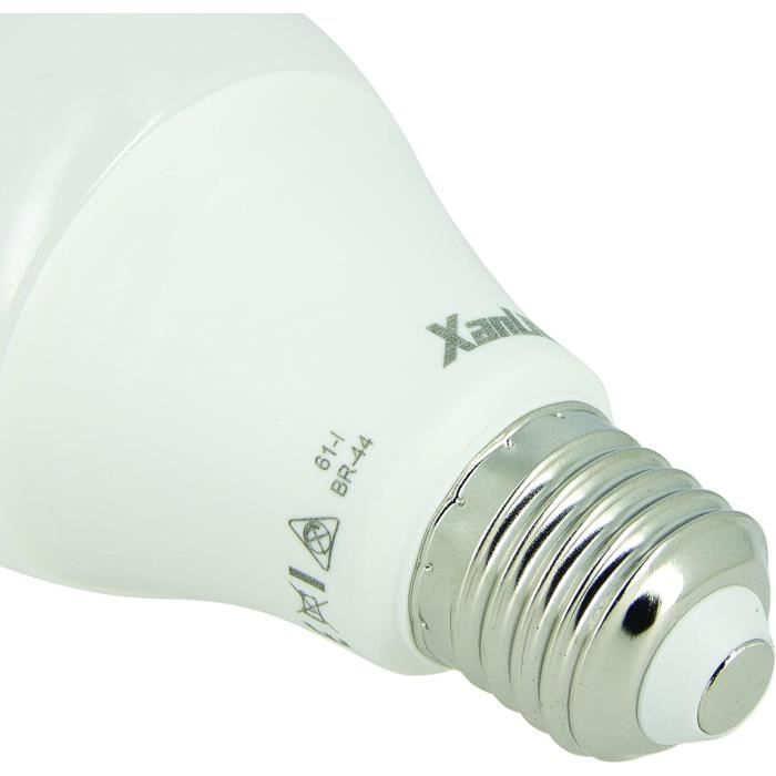 Ampoule LED A60 Classique Culot E27 - Ampoule LED E27 Blanc Froid