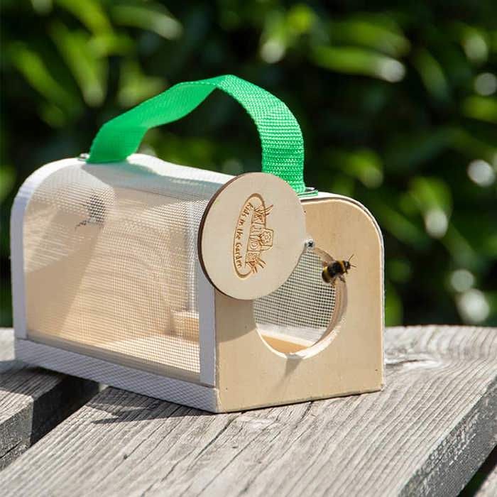 Boîte Observation insectes en Bois 20 cm - Cdiscount Jeux - Jouets