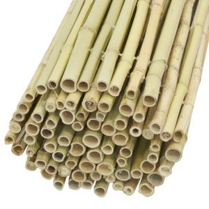 Brise vue bambou 1m80