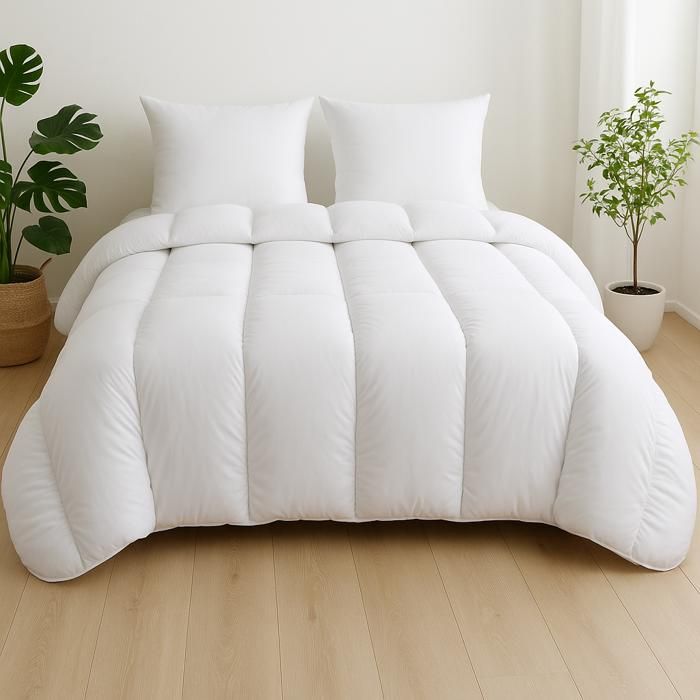 Couette - MORTREUX - Ultra chaude Grand Froid - Microfibre - 200 x 200 cm - 750g/m²