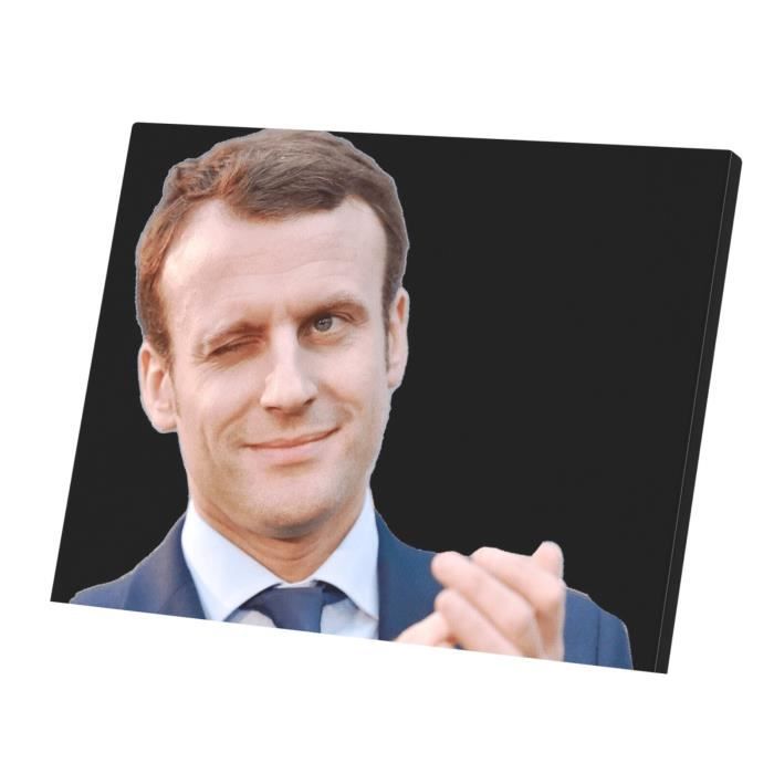 HXA DECO - Tableau Animaux, Tableau Pas Cher, Tableau Deco, Tableau Moderne, Tableau Decoratif Bouledogue Francais Clin D œil, 80x50cm