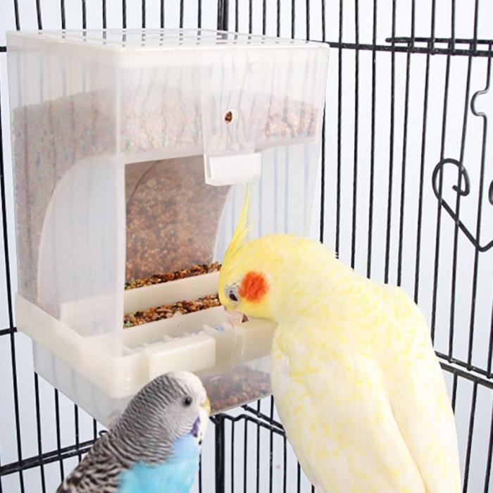 Comparer les prix de Mangeoire à oiseaux OMABETA - Distributeur automatique transparent - Capacité 500g - Pour jardin