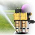 12V Petite pompe à eau de pompe à membrane de pulvérisateur électrique agricole BOH-0