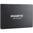 GIGABYTE - Disque SSD Interne - 256Go - 2,5" (GP-GSTFS31256GTND)-0