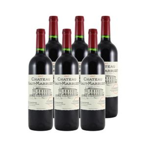 VIN ROUGE Château Haut-Marbuzet Rouge 2017 - Lot de 6x75cl - Vin Rouge de Bordeaux - Appellation AOC Saint-Estèphe - Cépages Cabernet