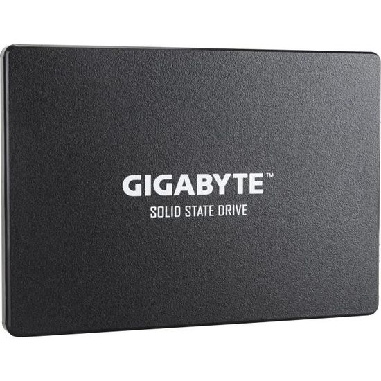 GIGABYTE - Disque SSD Interne - 256Go - 2,5" (GP-GSTFS31256GTND)