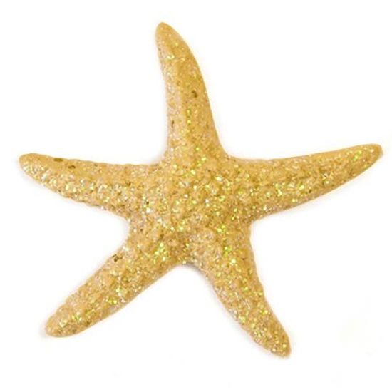 etoiles de mer 8 lettres