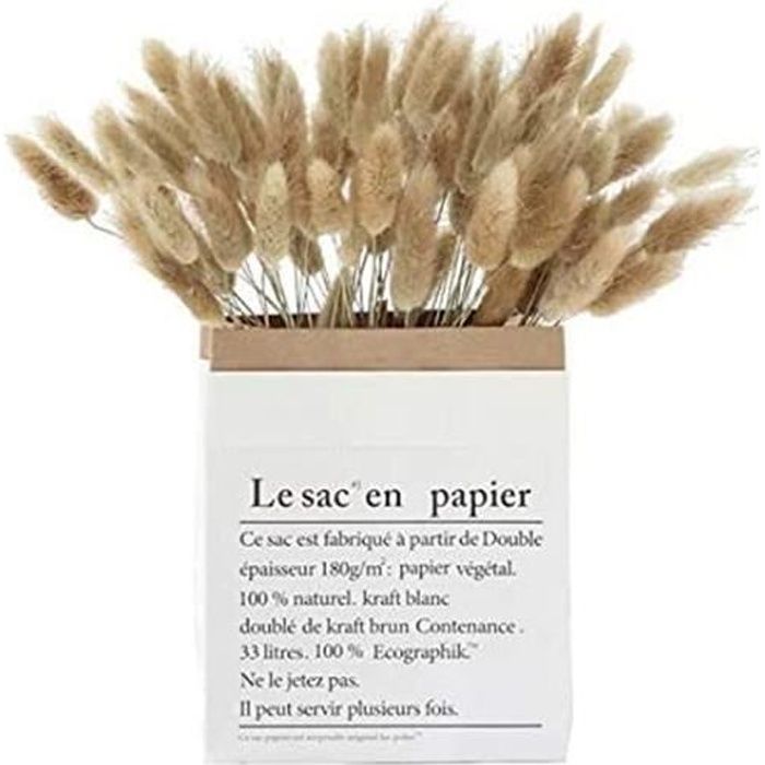 60 Pièce Naturelles Séchée Herbe De Pampa, Petite Phragmites décoration Fleur Pampa Séchées Phragmites, pour Maison Table Balcon