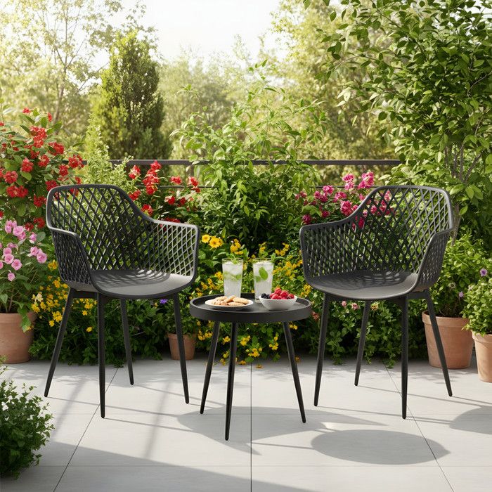 EGGREE Ensemble table et 2 chaises 2 fauteuils lounge avec accoudoirs et pieds en métal 1 table basse EGGREE Ensemble table et 2 chaises 2 fauteuils lounge avec accoudoirs et pieds en métal 1 table basse