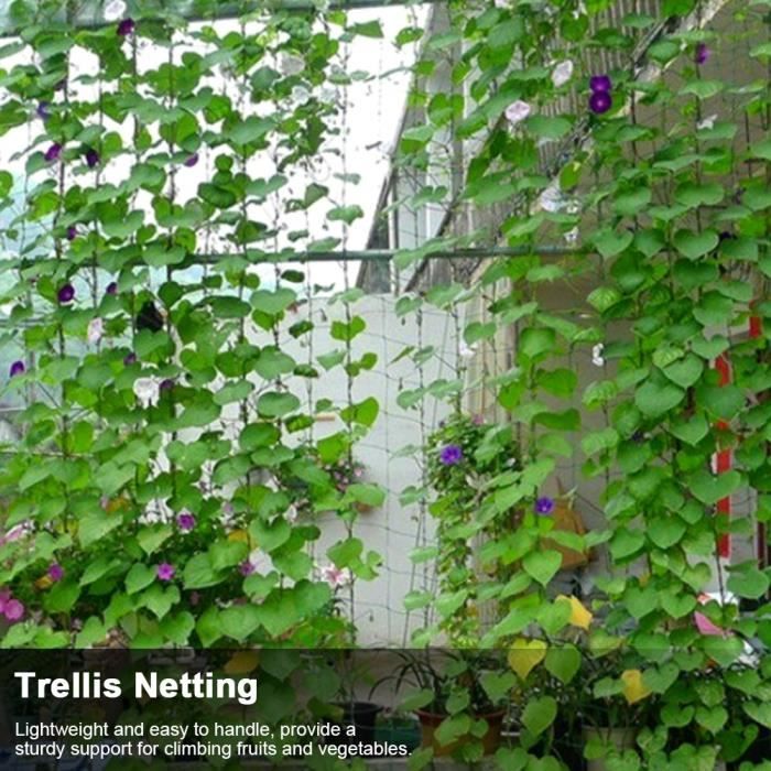180x90cm LOVIVER Filet à Treillis Support de Plante Végétal pour Circulation Lumière Améliore Insectes et Maladies