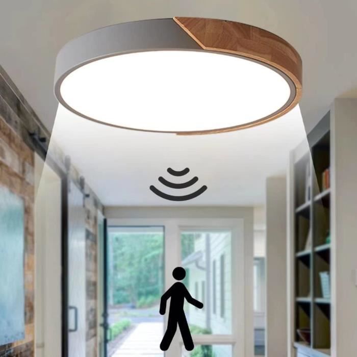 Plafonnier à détecteur de mouvement rechargeable, lumière