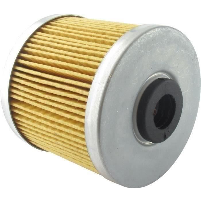 Filtre à carburant LOMBARDINI 250217541 - 250,2175,41