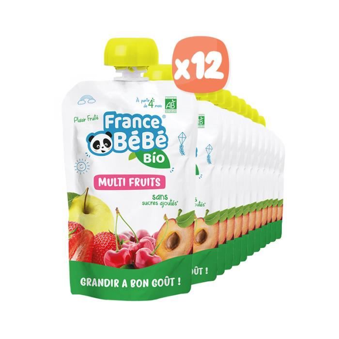 FRANCE BéBé BIO - Gourde De Purée de fruits & légumes BIO dès 4 mois -  Multi Fruits - Pack de 12 x 100g