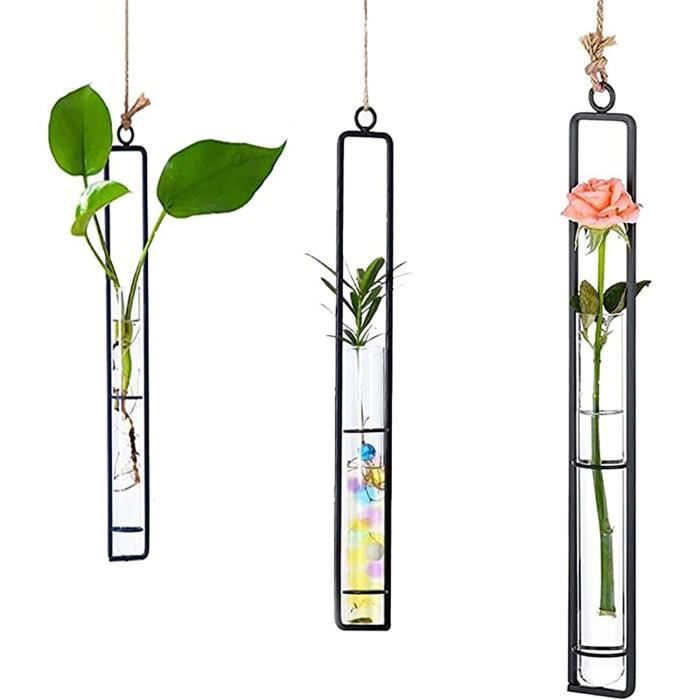 Métal Mur Panier Suspendu Fleurs pot fer Hydroponique Plante Vase avec tube à essai 