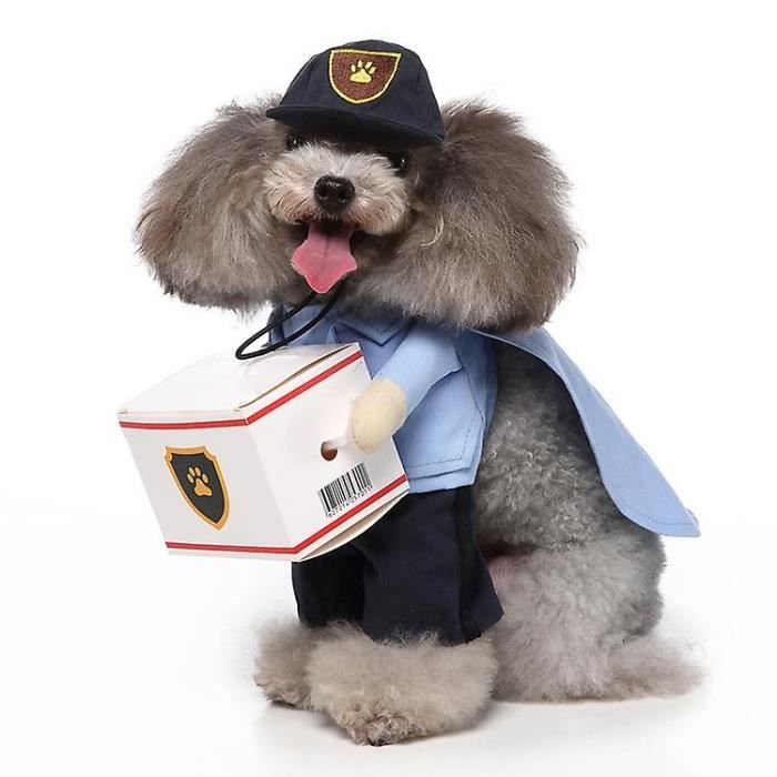 Costume ensemble Chien Costume Chat Dr le V tements Chien No l