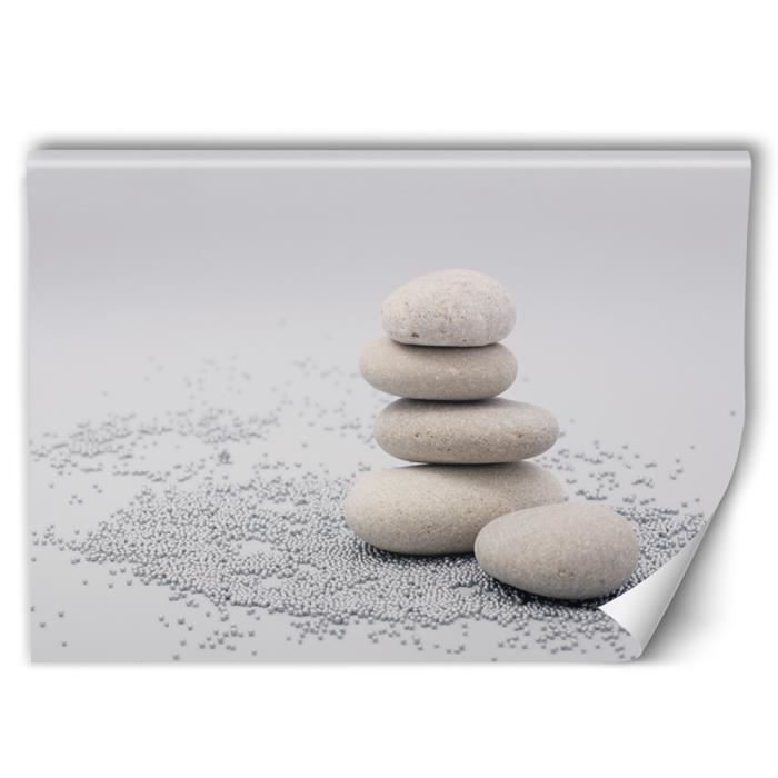 Feeby Poster Mural Xxl Zen Papier Intisse Colle Fournie Gris 200x134 Cm Cdiscount Bricolage