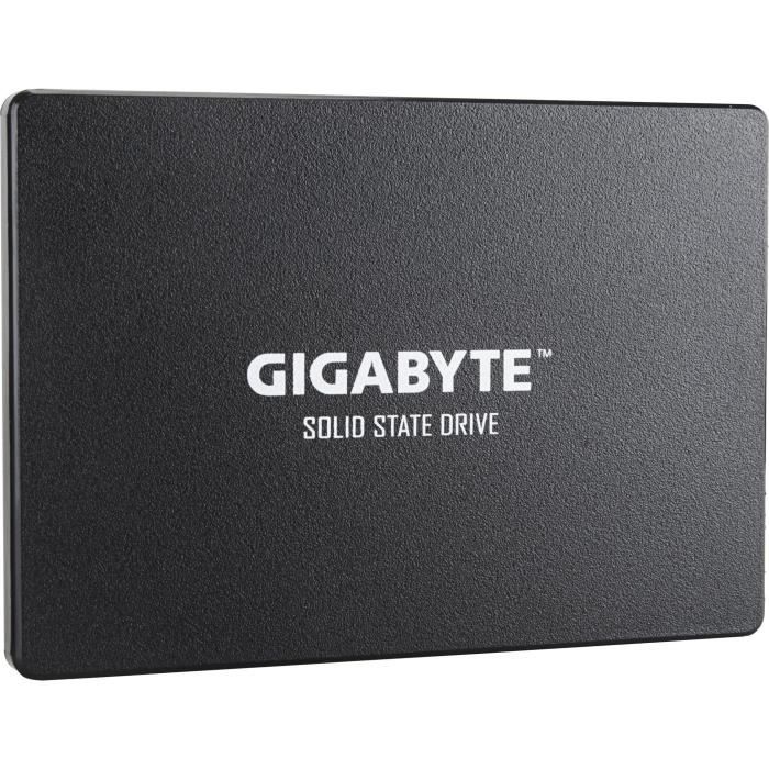 GIGABYTE – Disque SSD Interne – 256Go – 25 (GP-GSTFS31256GTND)