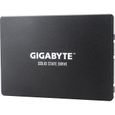 GIGABYTE - Disque SSD Interne - 256Go - 2,5" (GP-GSTFS31256GTND)-1