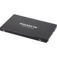 GIGABYTE - Disque SSD Interne - 256Go - 2,5" (GP-GSTFS31256GTND)-2