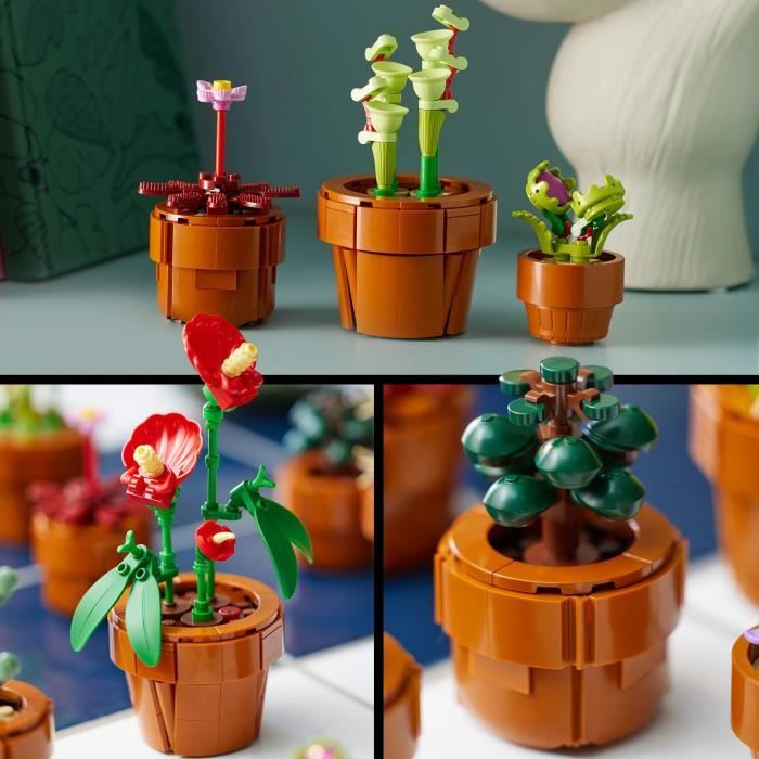 LEGO® Icons 10329 Les Plantes Miniatures, Collection Botanique 9 Plantes  Artificielles avec des Fleurs, Décoration d'Intérieur - Cdiscount Jeux -  Jouets