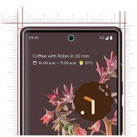 Coque Transparente + 2 Protections écran Verre Trempé Incurvé Pour Google Pixel 6 Pro