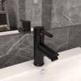 Robinet de lavabo de salle de bain - Cuisine - Mitigeur Lavabo baignoire Moderne Noir 130x176 mm-0